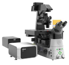 לחיצה להגדלת תמונה Confocal Microscop