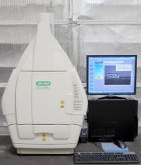 Gel documentation machine