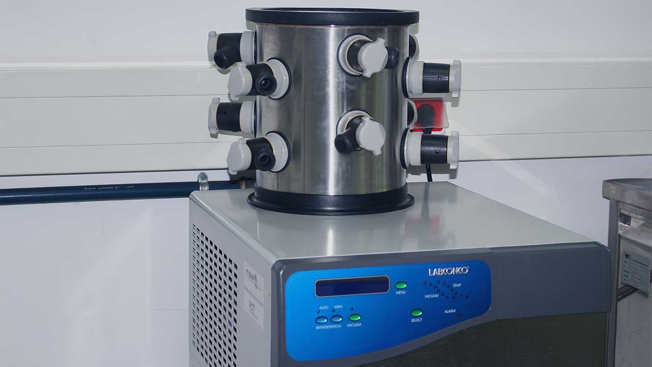 Freeze Drying