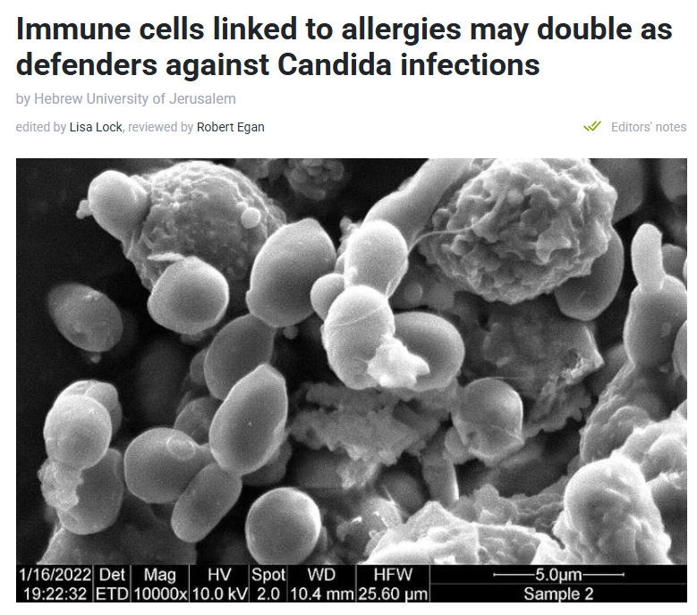 medicalxpress article