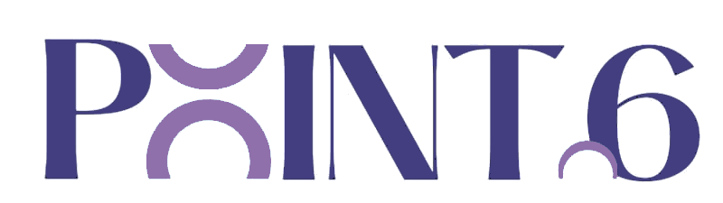 Point 6 logo
