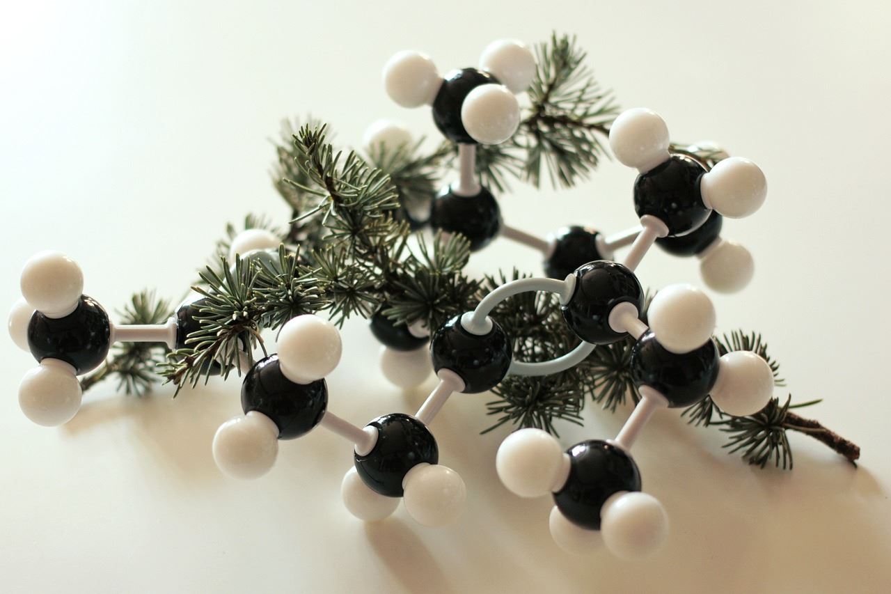 Chemical molecule model