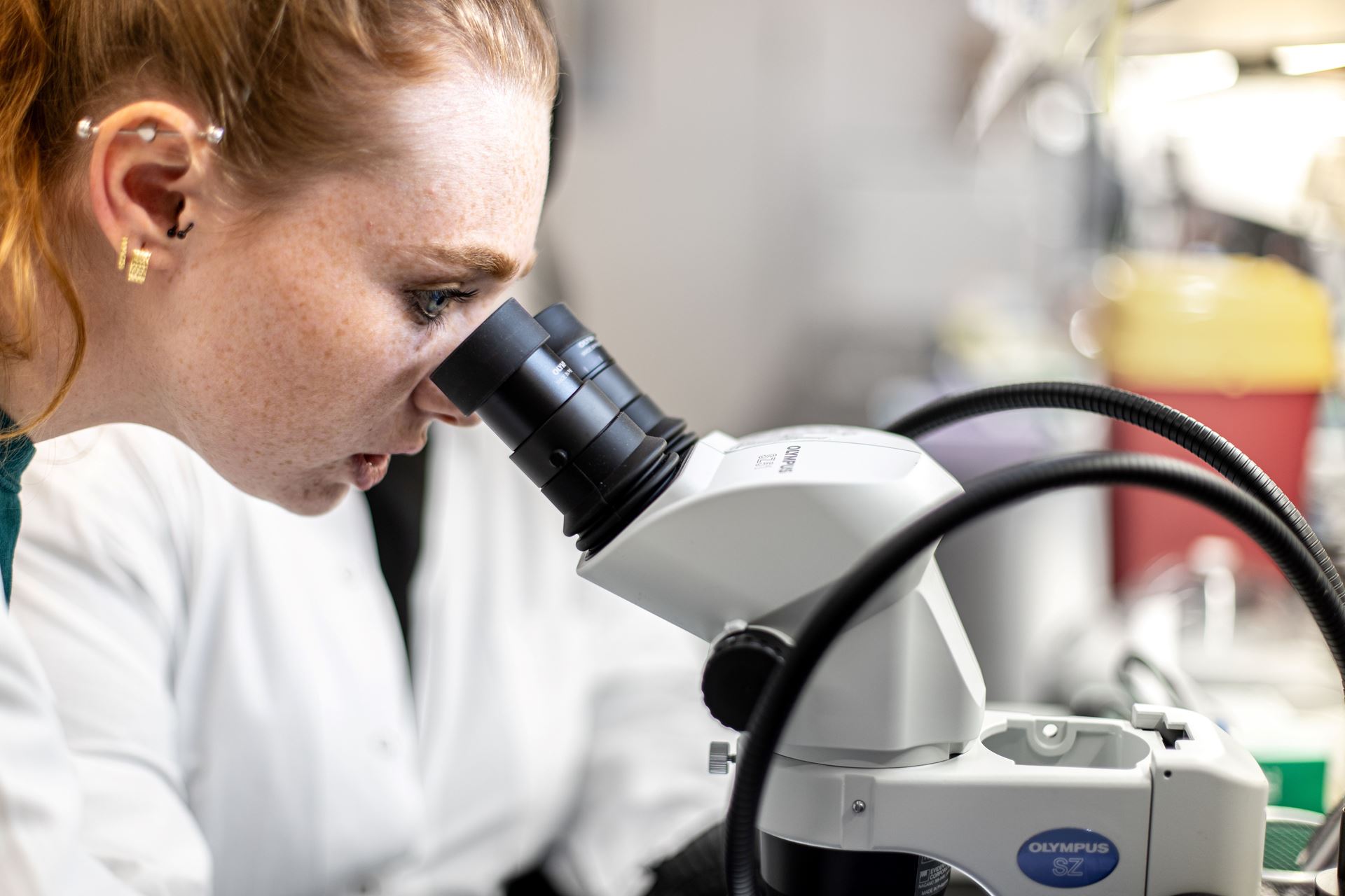 Researcher looking through a microscope
