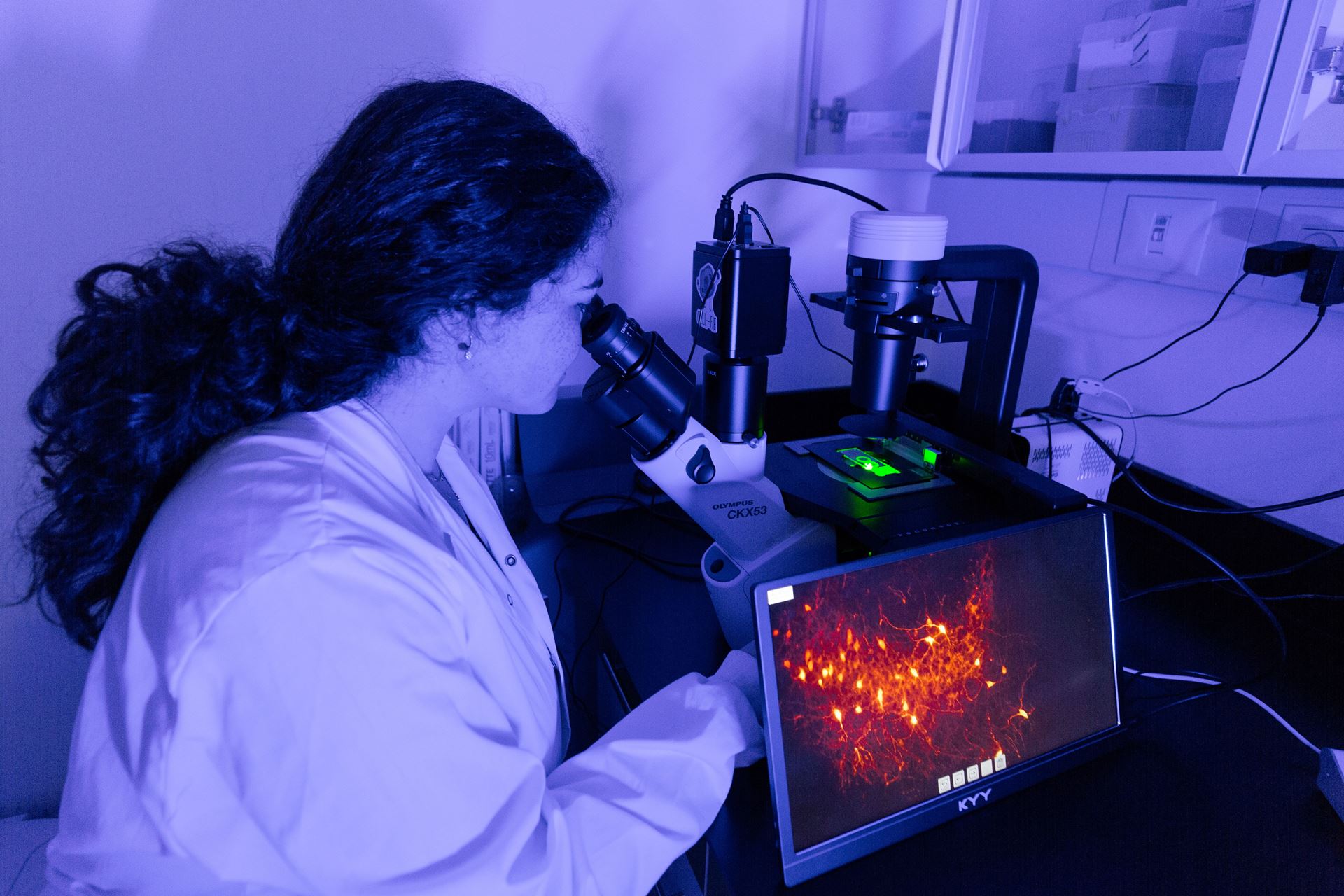 Researcher looking through a microscope